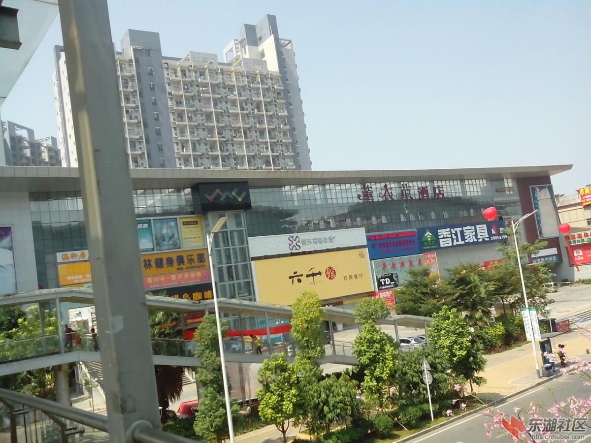 IMG_20141007_115150.jpg