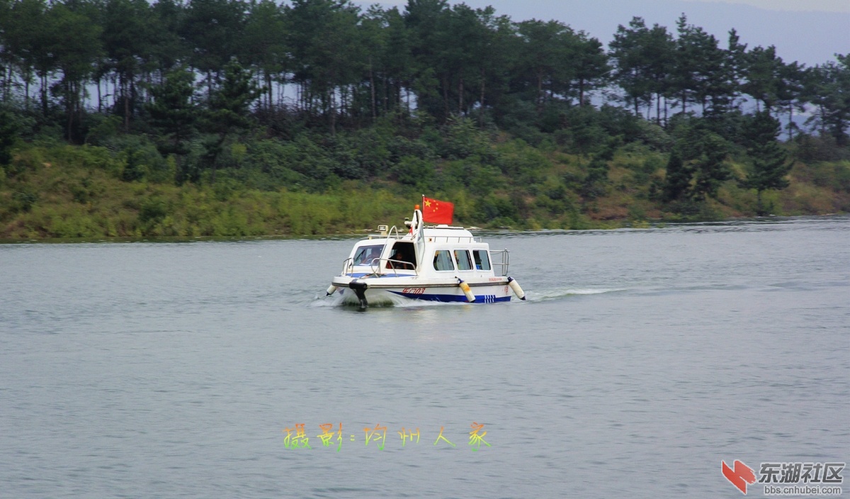 6379.jpg