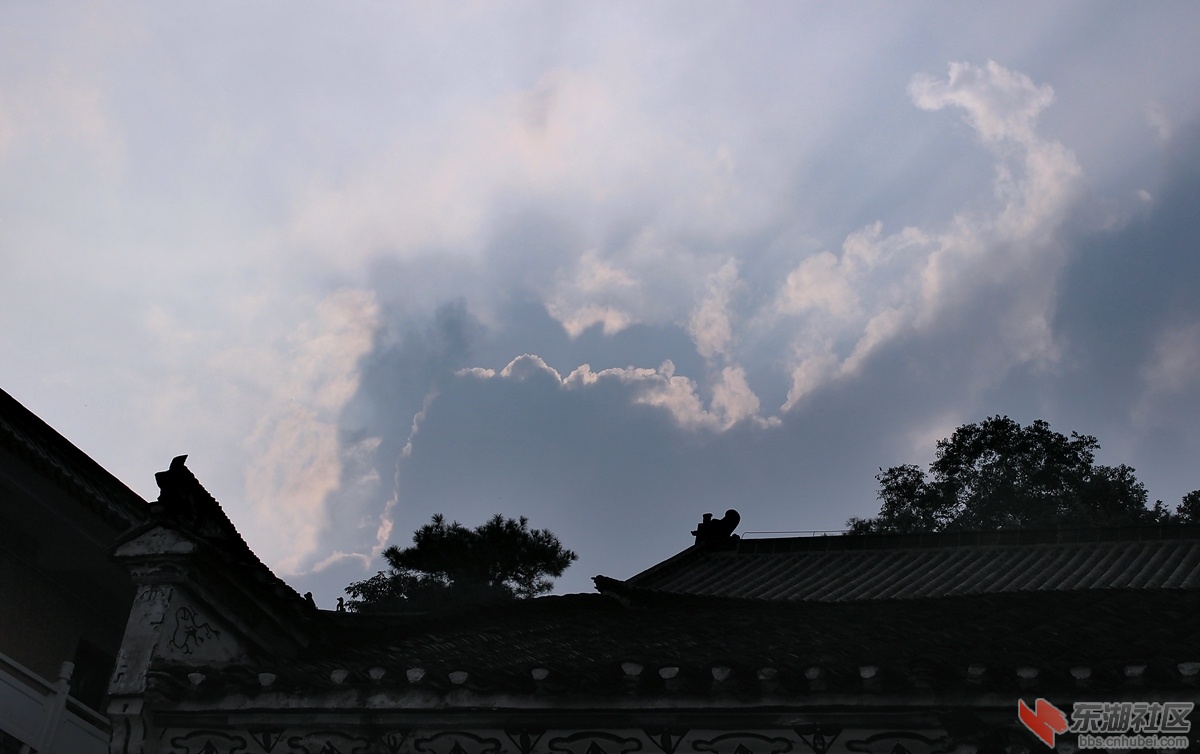 IMG_1233_dh_副本.jpg