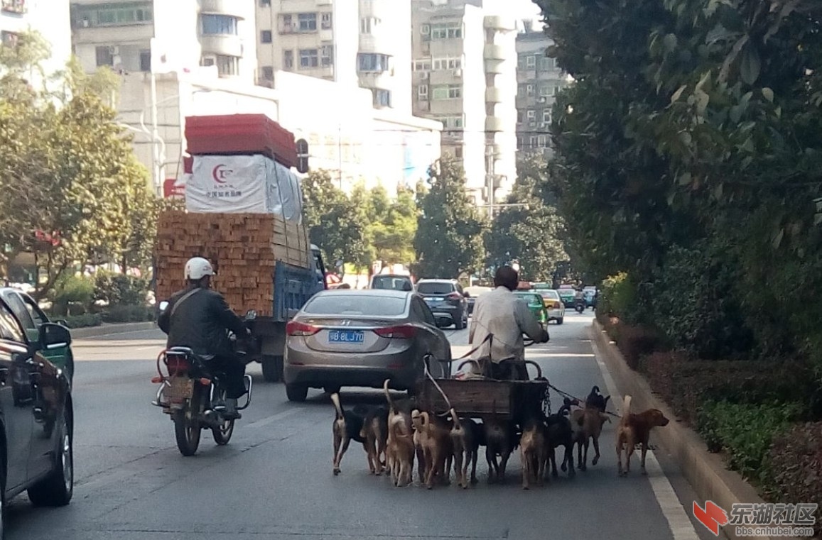 QQ图片20141008213121.jpg