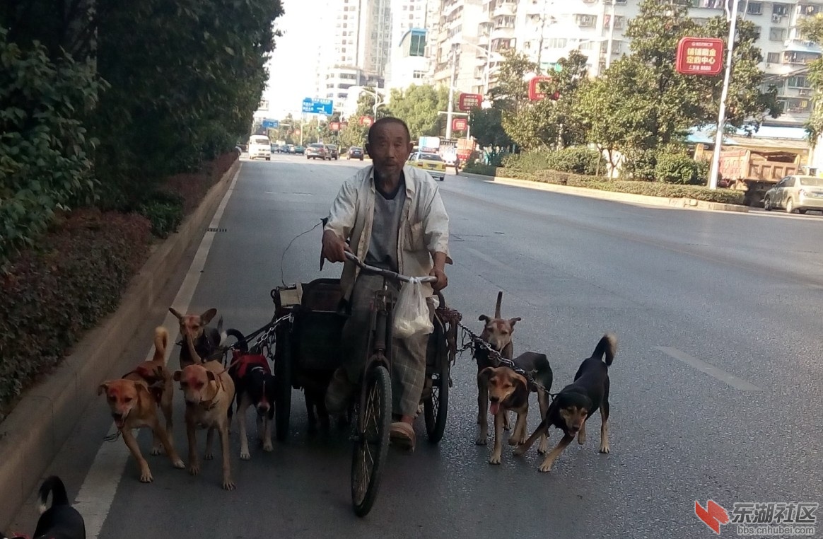 QQ图片20141008213318.jpg