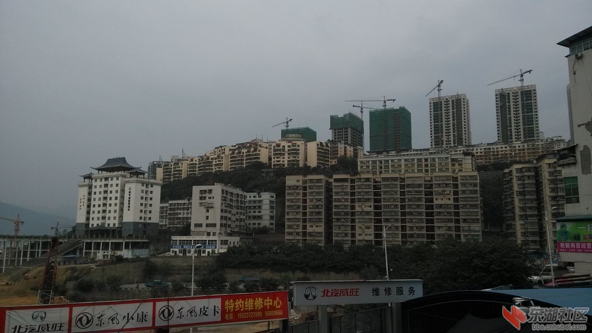 IMG_20141004_071208.jpg