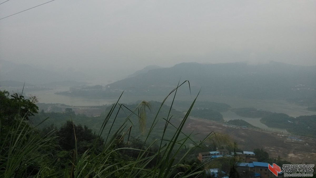 IMG_20141004_121429.jpg