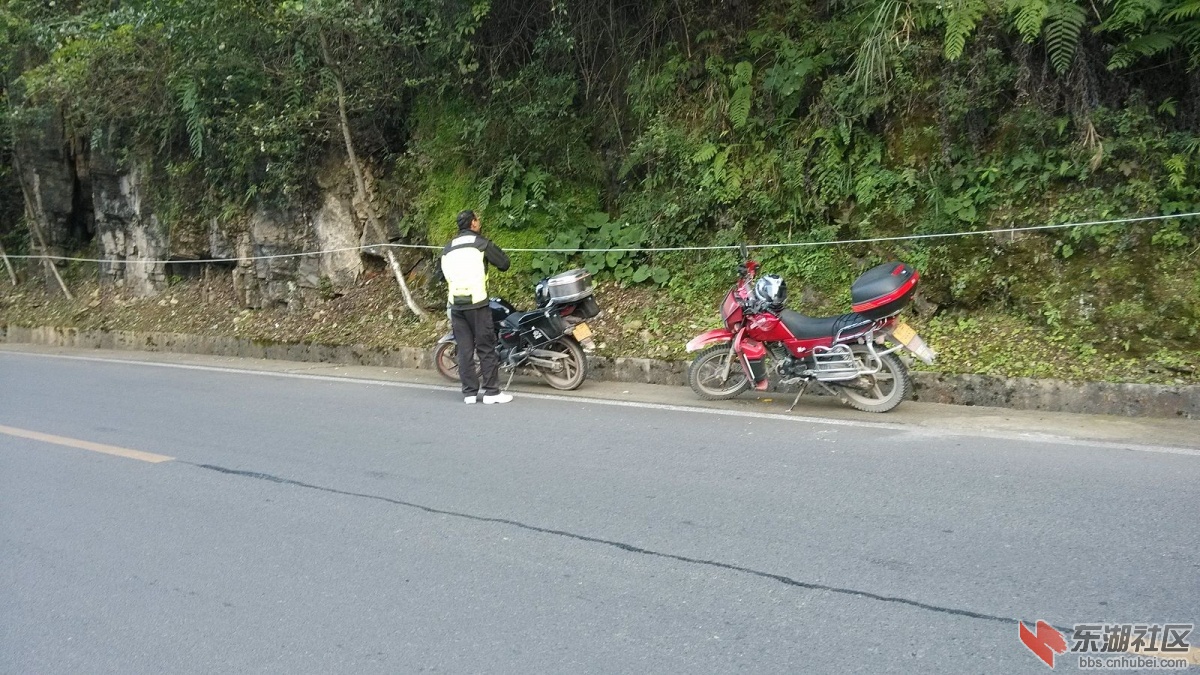 IMG_20141006_172131.jpg