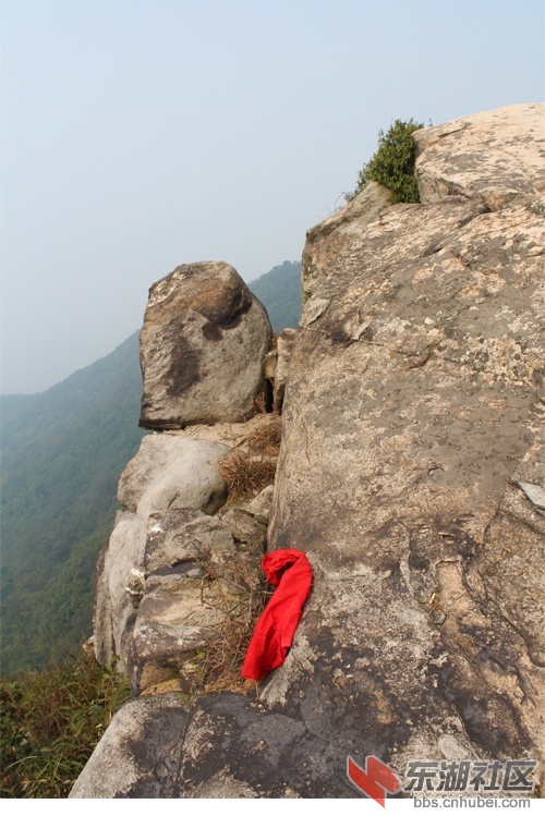l20.jpg