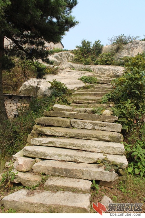 l22.jpg