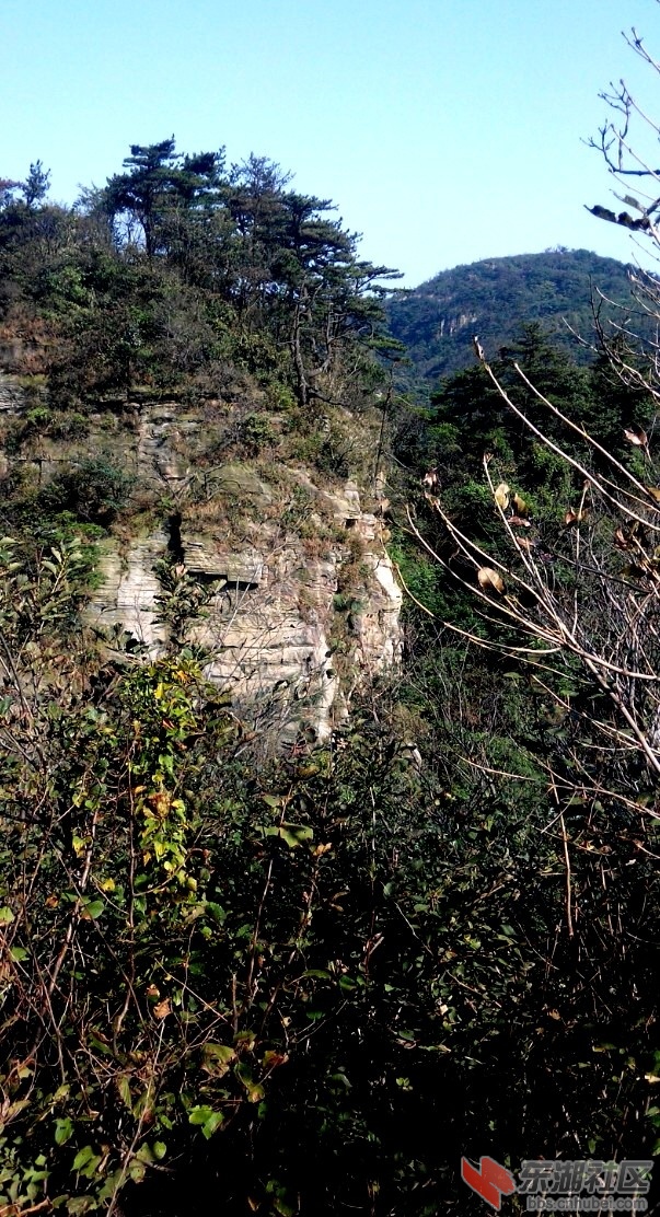 IMG_20141003_142138-1-1.jpg