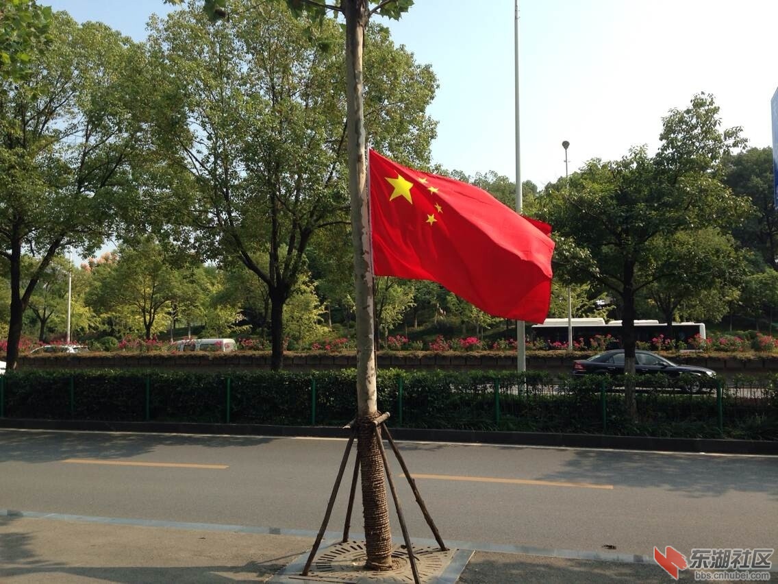 QQ图片20141009164312.jpg