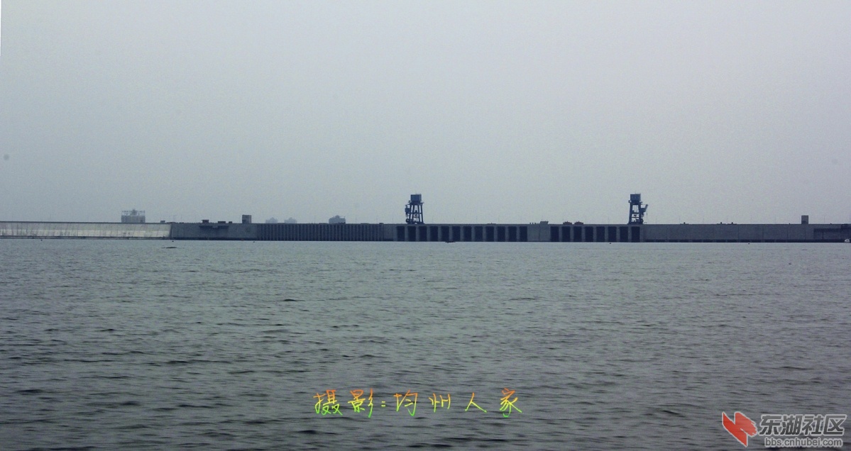 6373.jpg
