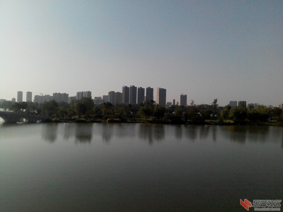 IMG_20141003_154640.jpg