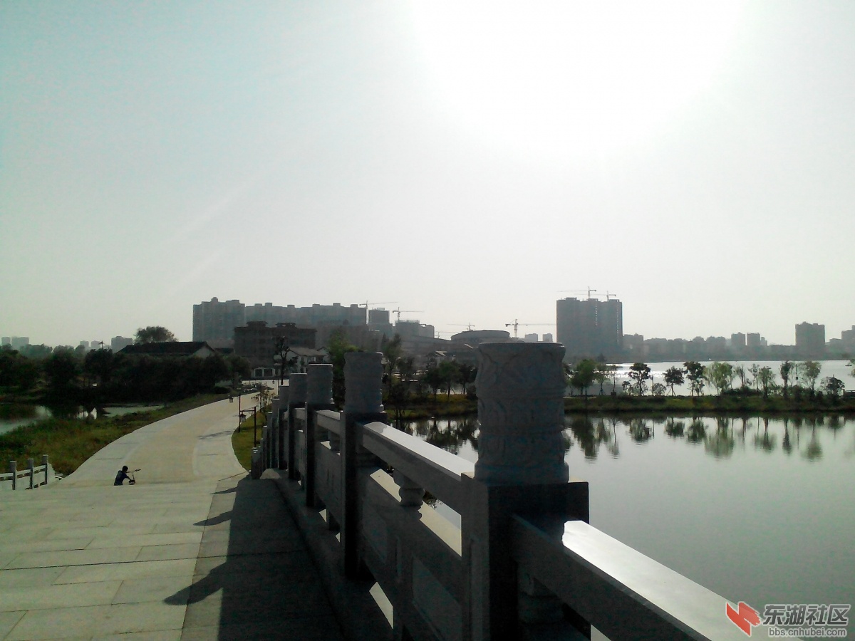 IMG_20141003_154656.jpg