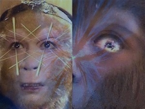 12590636427565884626_large.jpg