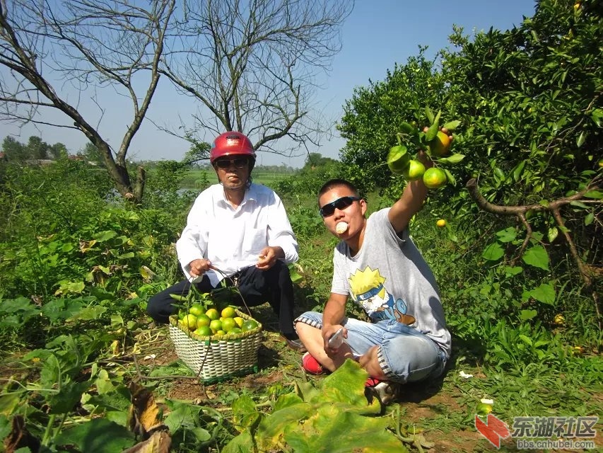 喜德盛2.jpg