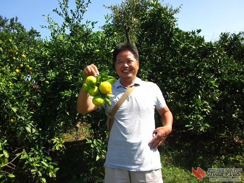 喜德盛15.jpg