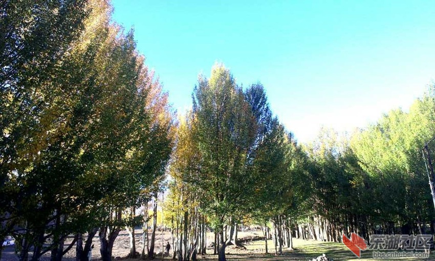 mmexport1412907334703_副本.jpg