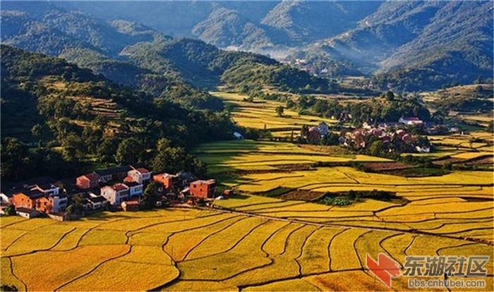 大悟山.jpg