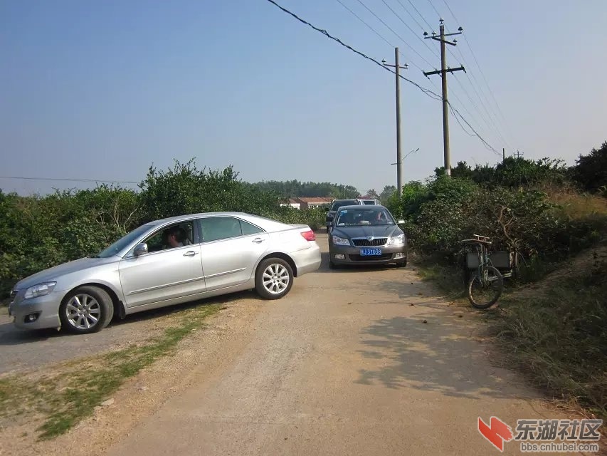 蕲阳网1.jpg