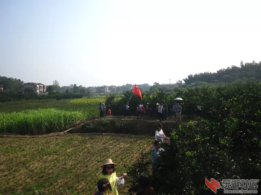 蕲阳网38.jpg