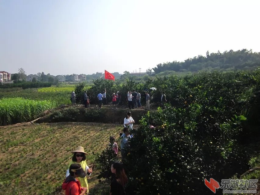 蕲阳网39.jpg
