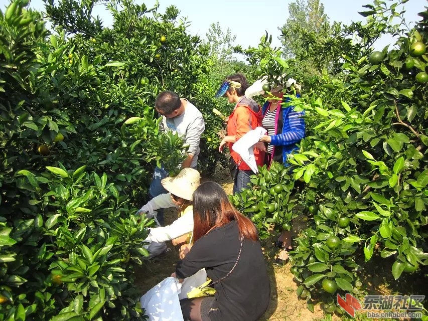 蕲阳网29.jpg