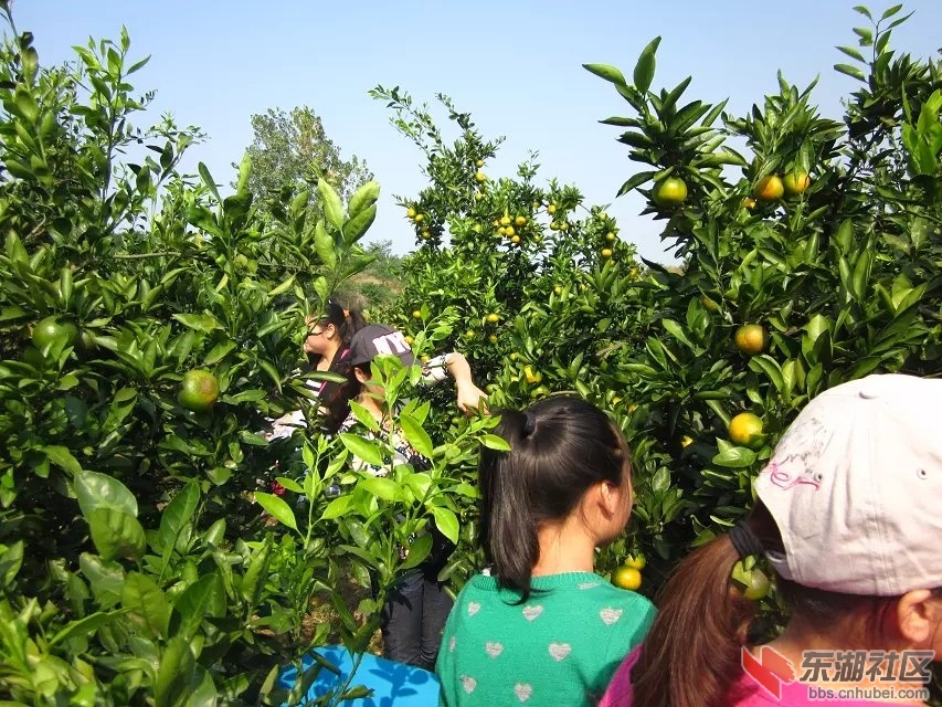 蕲阳网31.jpg