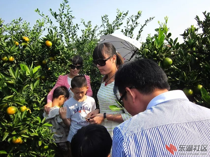 蕲阳网32.jpg