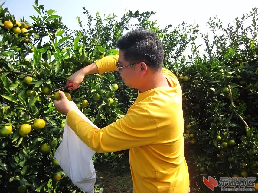 蕲阳网23.jpg
