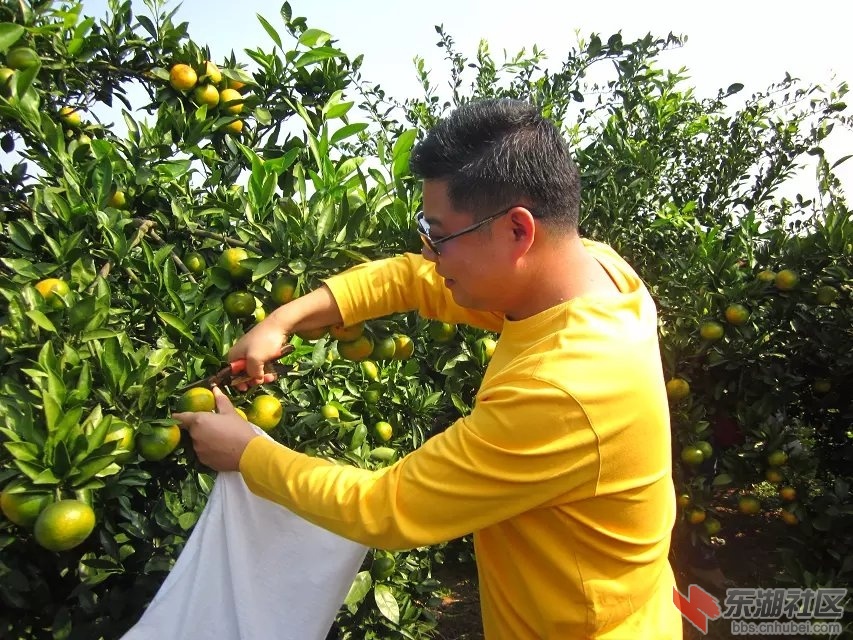 蕲阳网24.jpg