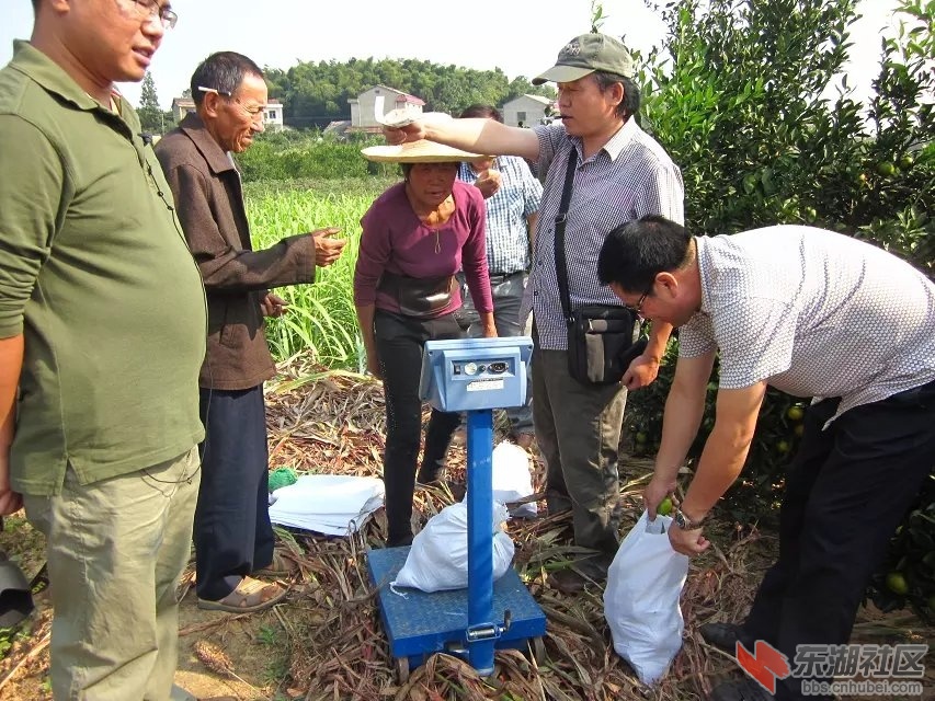 蕲阳网35.jpg