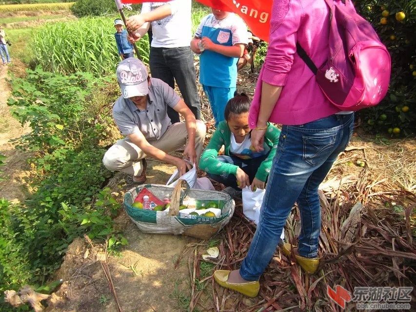 蕲阳网15.jpg