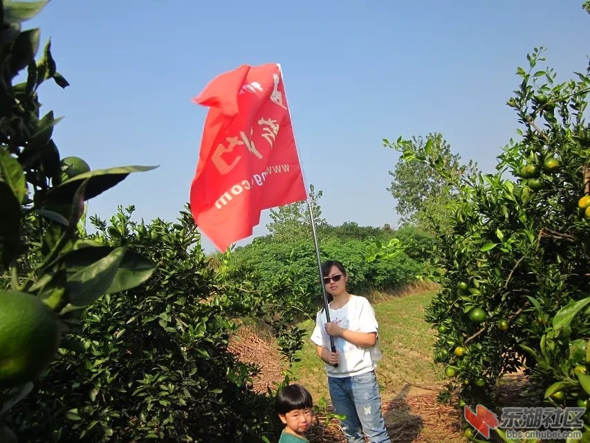 蕲阳网16.jpg