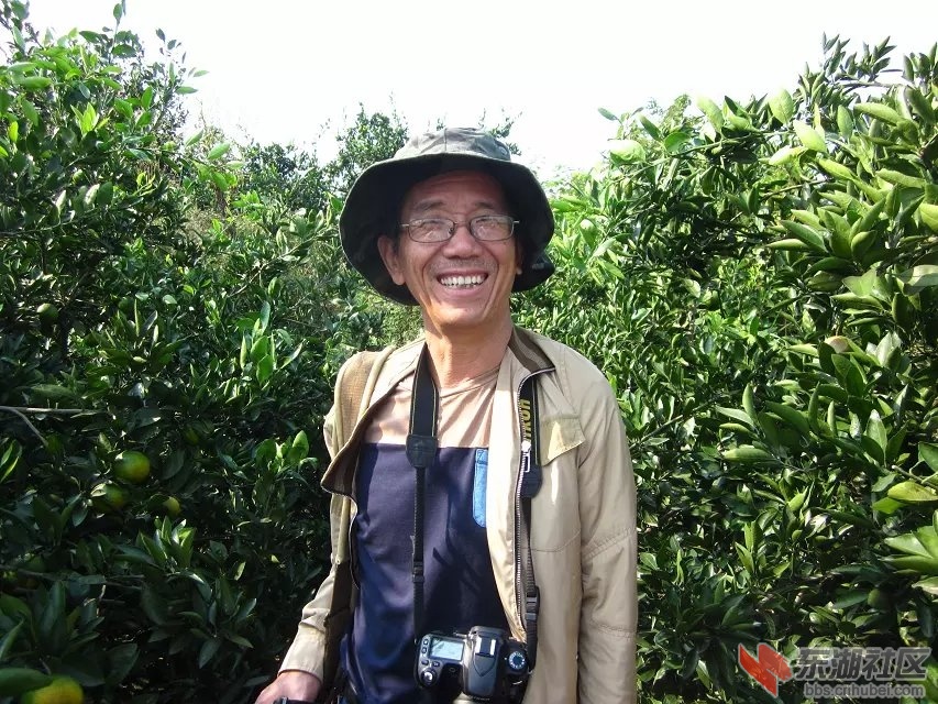蕲阳网36.jpg