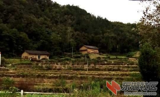 img_20141012_164232.jpg
