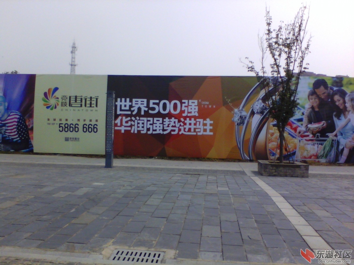 IMG_20141012_075459.jpg