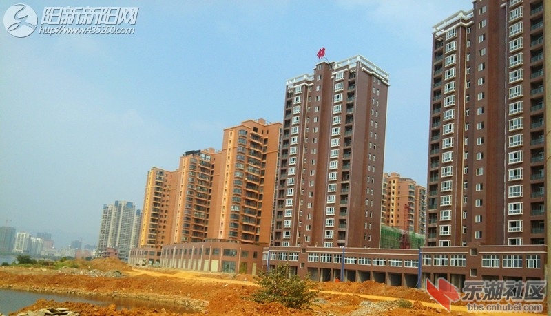 02.jpg