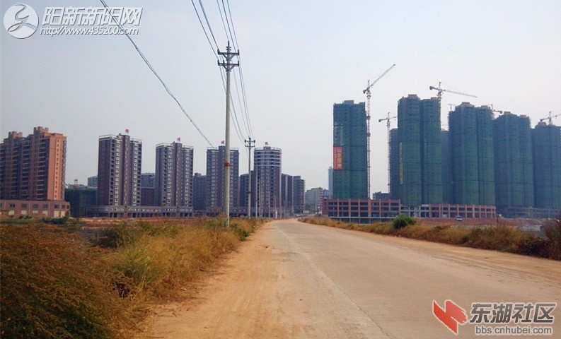 06.jpg