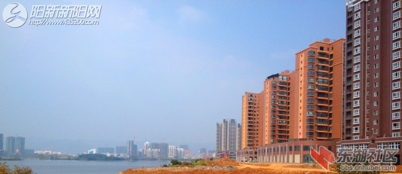 08.jpg