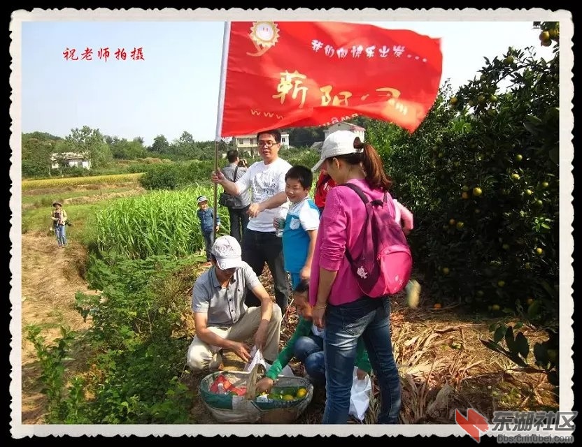 蕲阳网1.jpg