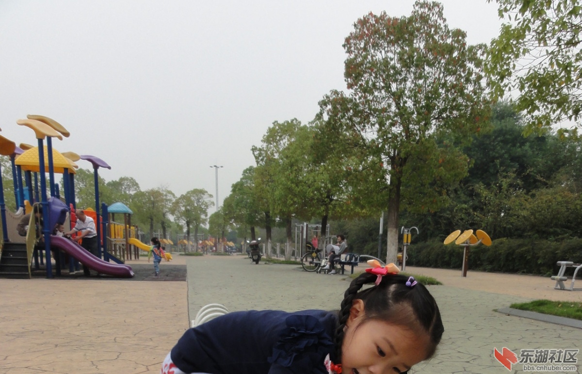 广华水杉公园35.jpg