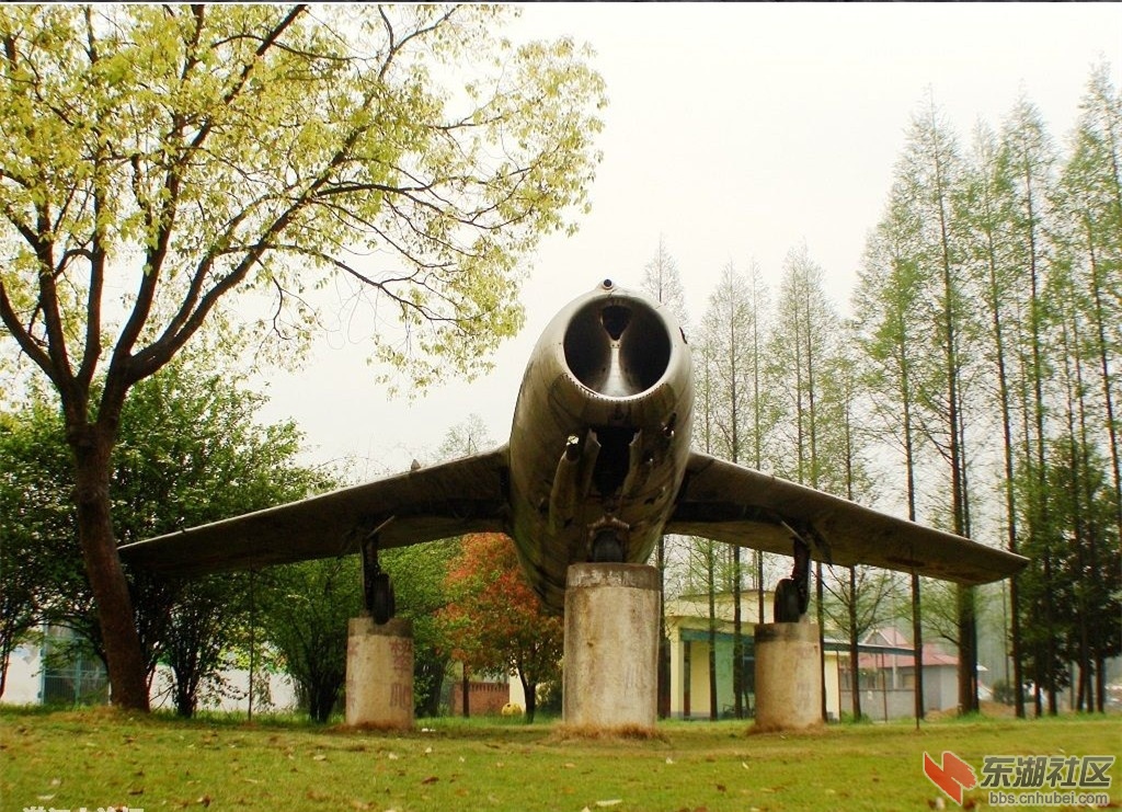 广华水杉公园36.jpg