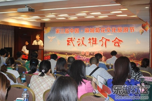 武汉推介会.jpg