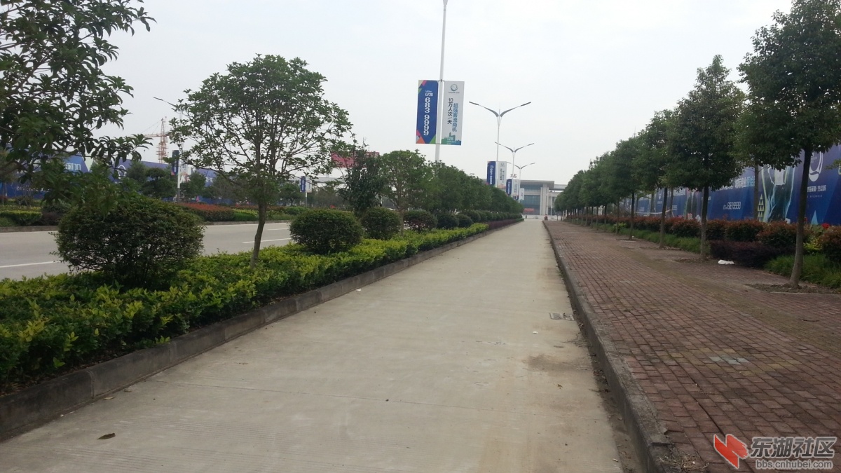 20140930_162028.jpg