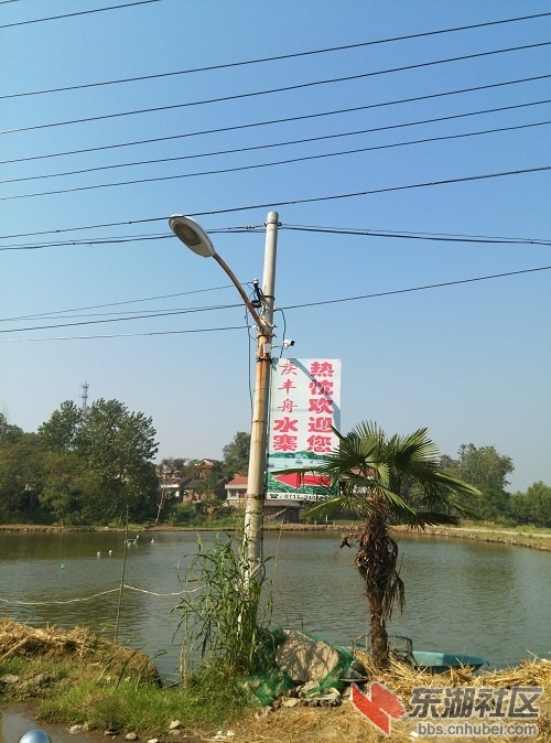 IMG_20141008_100409.jpg