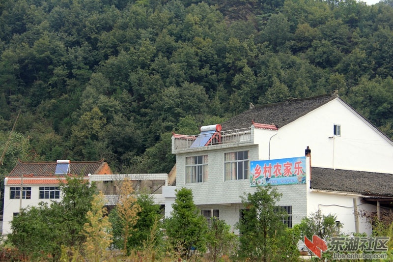绿树掩映.JPG