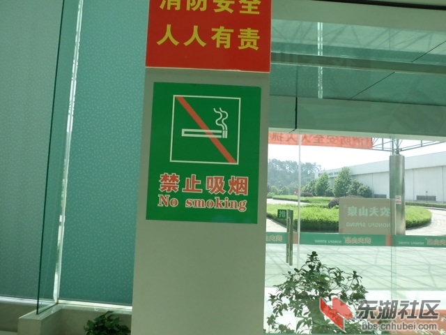 CIMG0137.JPG