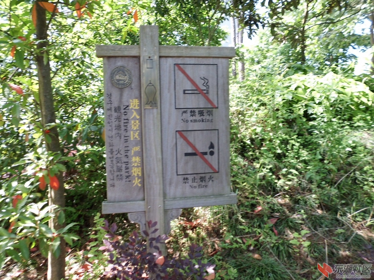 CIMG0208.JPG