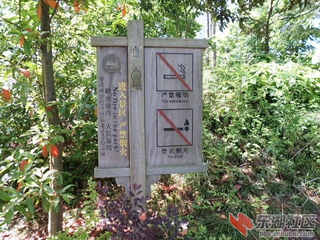 CIMG0209.JPG