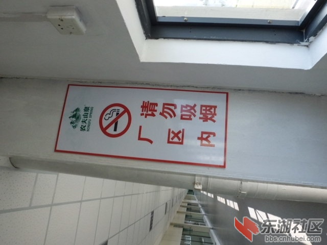 CIMG0235.JPG