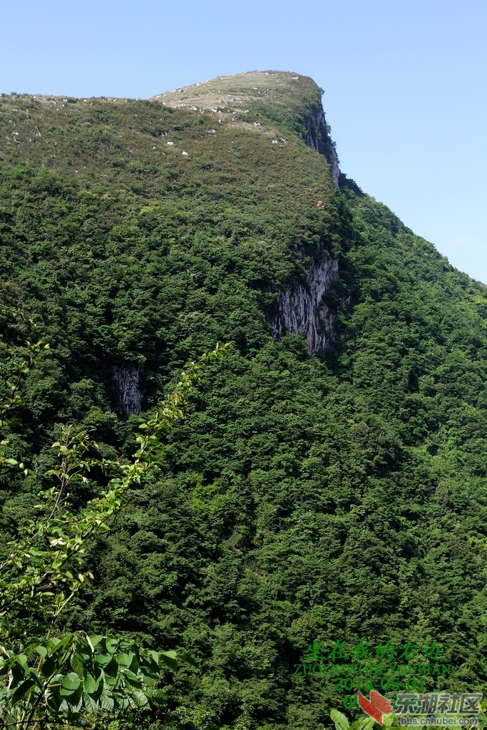 照片A 035A.jpg