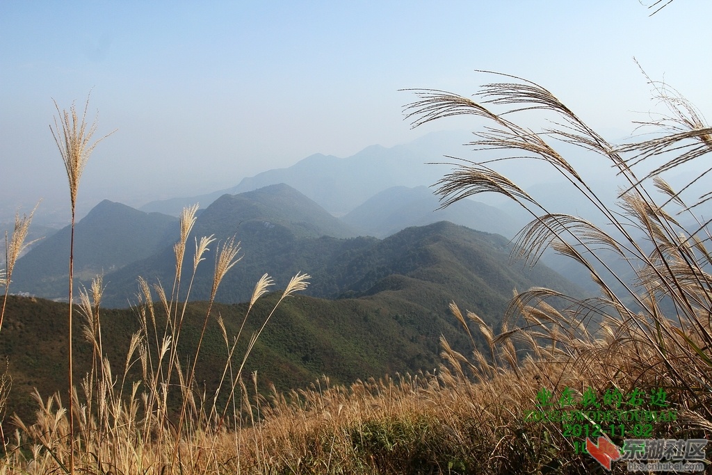 照片A 111A.jpg